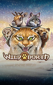 Wild North Radiant Skies Go Collect